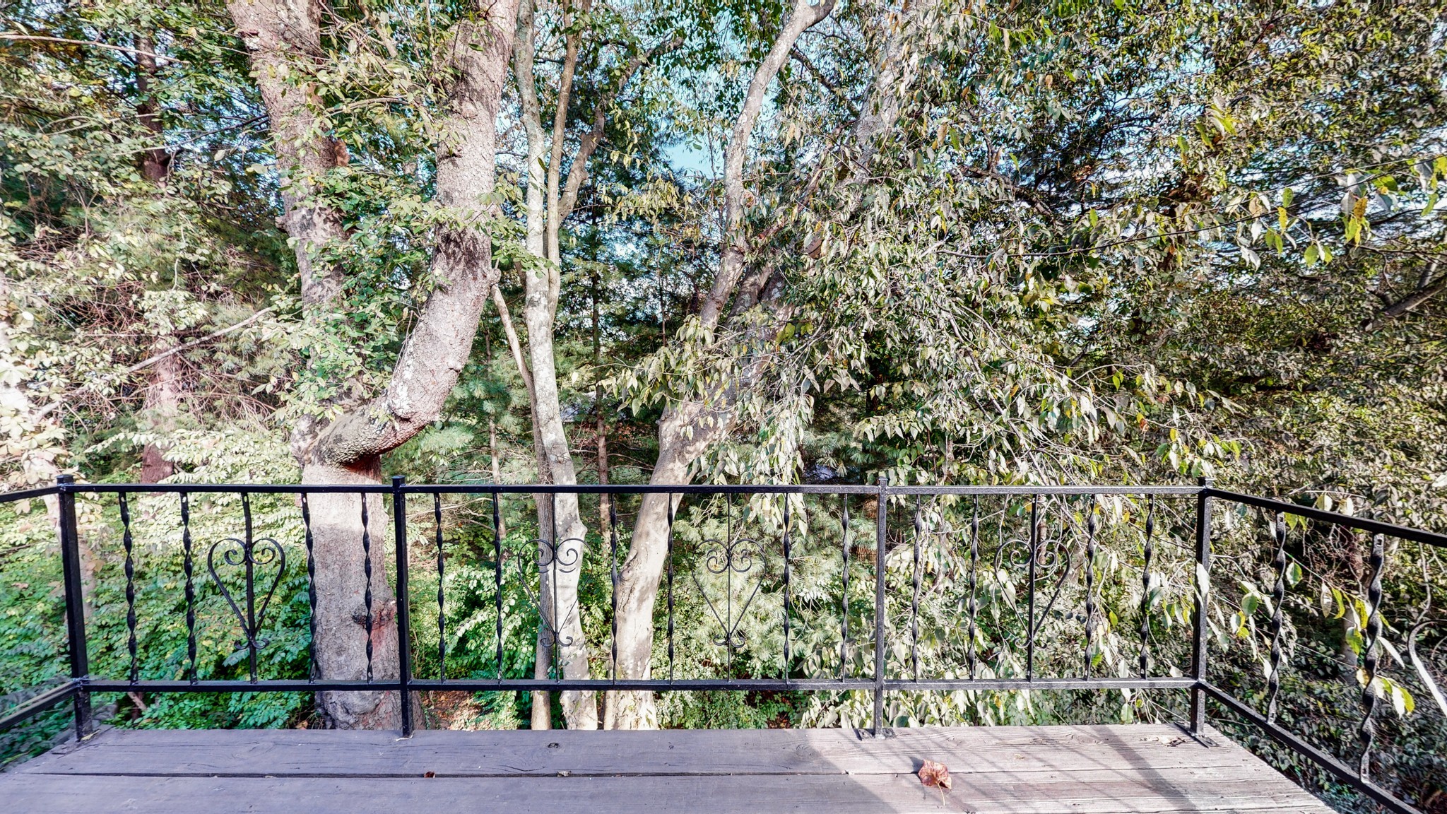 601 Boyd Mill Avenue, Unit G2 Franklin, TN 37064 - Photo 27 of 30 a view of balcony with lots of trees