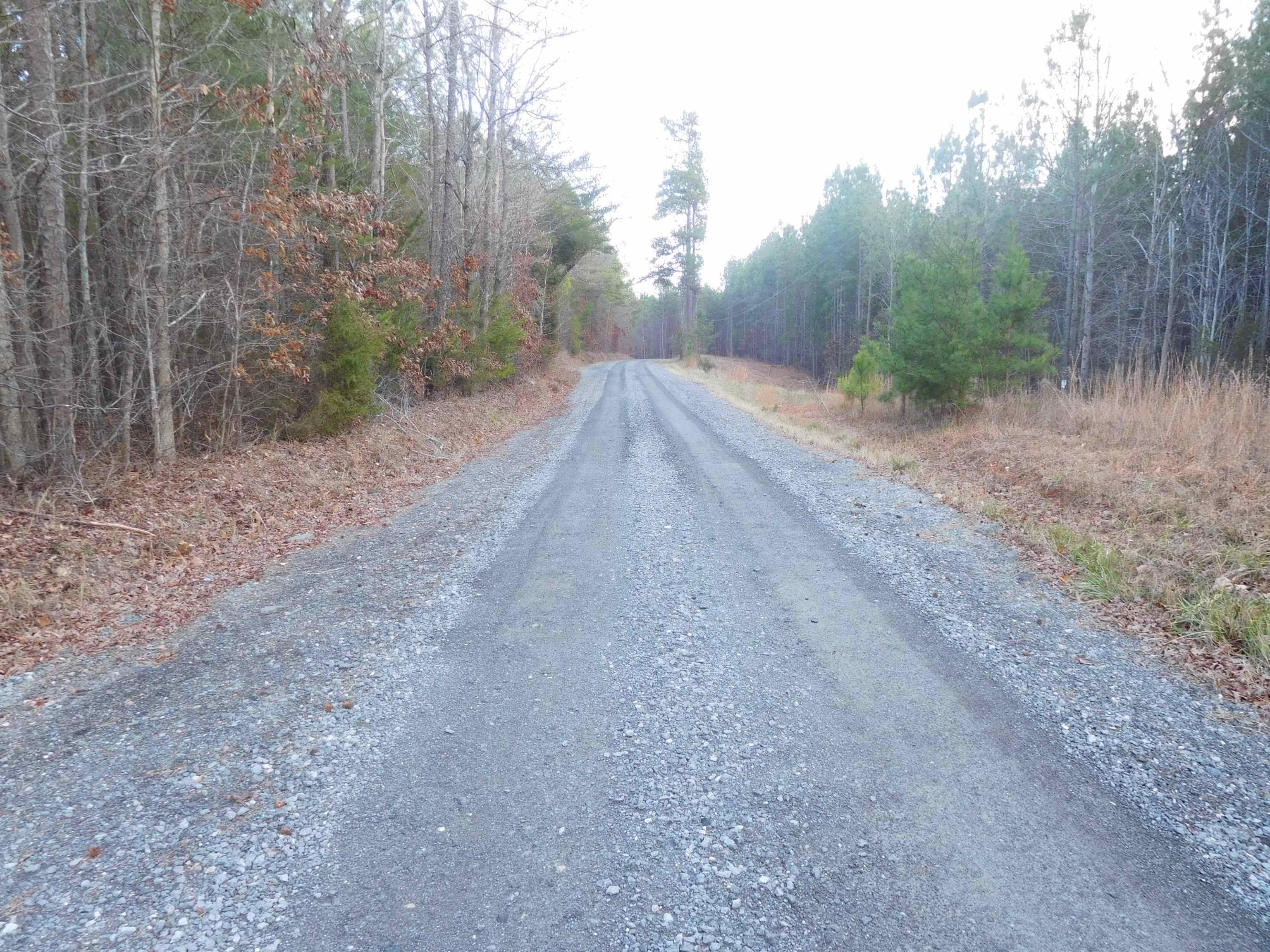 Tbd Tanners Road Columbia, SC 29209 - Photo 4 of 4 Gallery Image 4