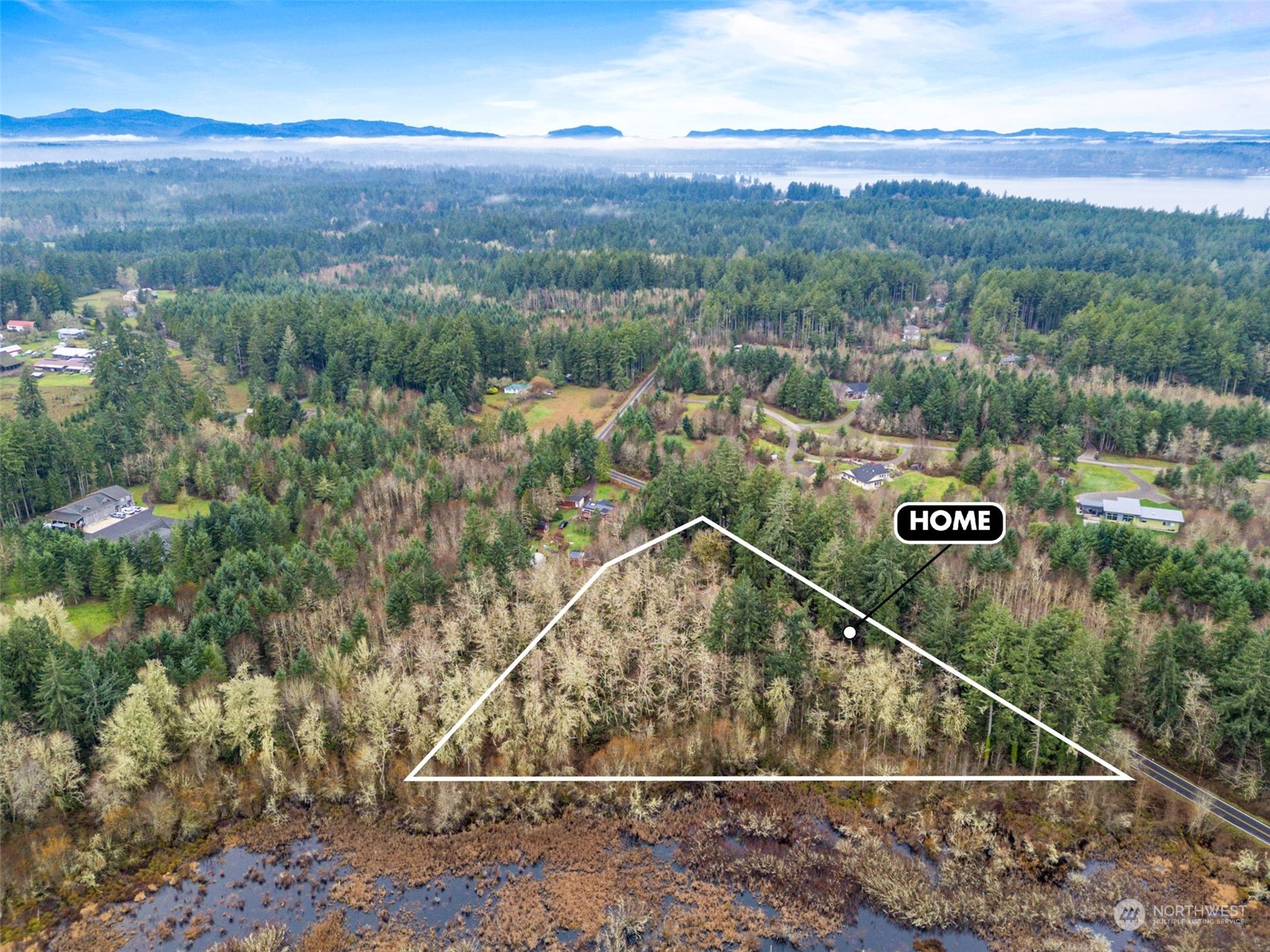 8120 Libby Road Northeast Olympia, WA 98506 - Photo 4 of 36 an aerial view of a forest