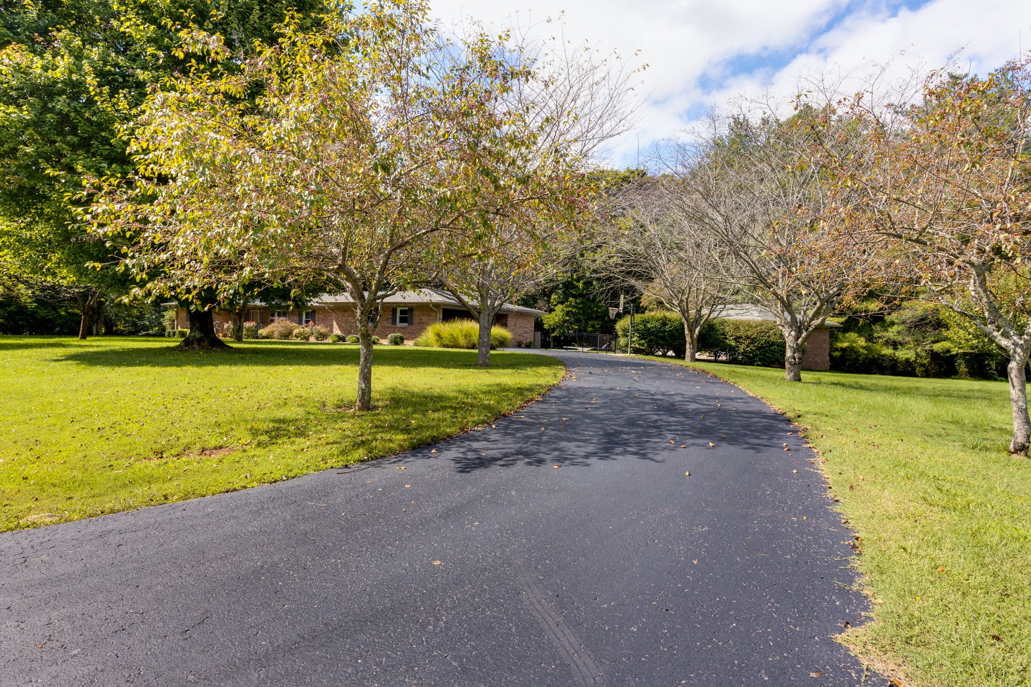 3557 Forest Park Road Springfield, TN 37172 - Photo 3 of 47 a view of a park with large trees