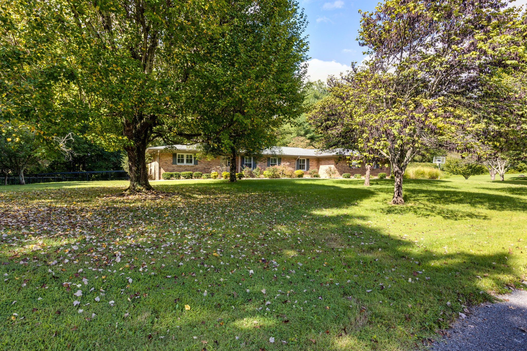 3557 Forest Park Road Springfield, TN 37172 - Photo 4 of 47 a view of a park with large trees