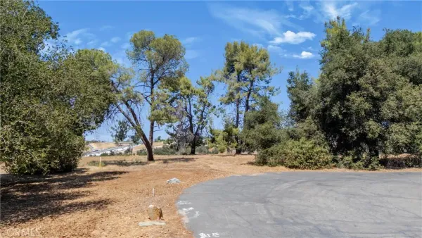 a view of road with trees