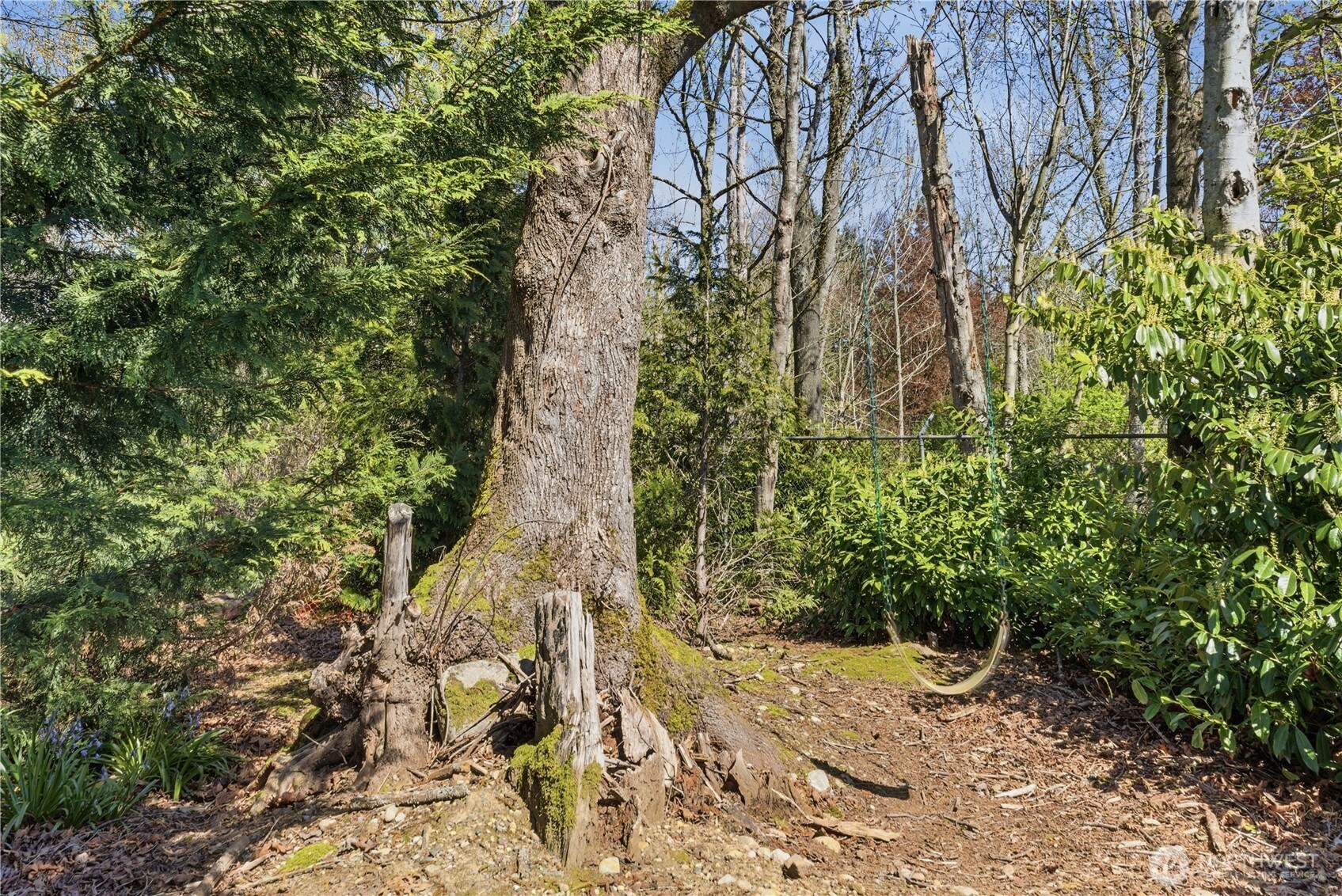 29 232nd Place Southwest Bothell, WA 98021 - Photo 31 of 40