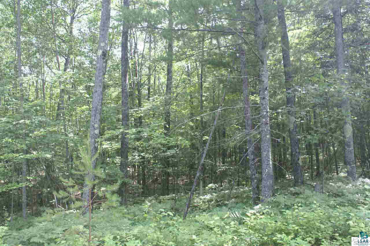 Lot 5 Spider Lake Road Iron River, WI 54847 - Photo 1 of 5 Gallery Image 1