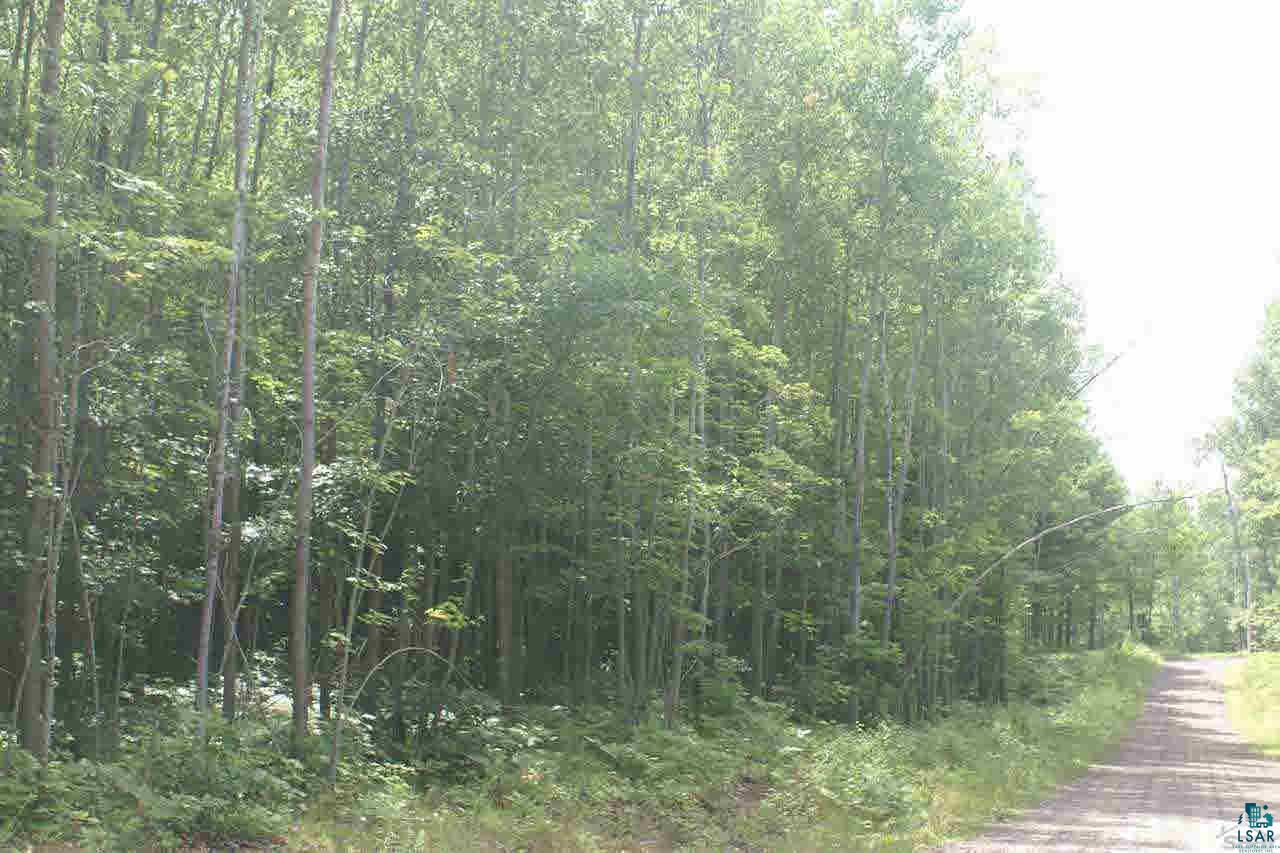 Lot 5 Spider Lake Road Iron River, WI 54847 - Photo 4 of 5 Gallery Image 4