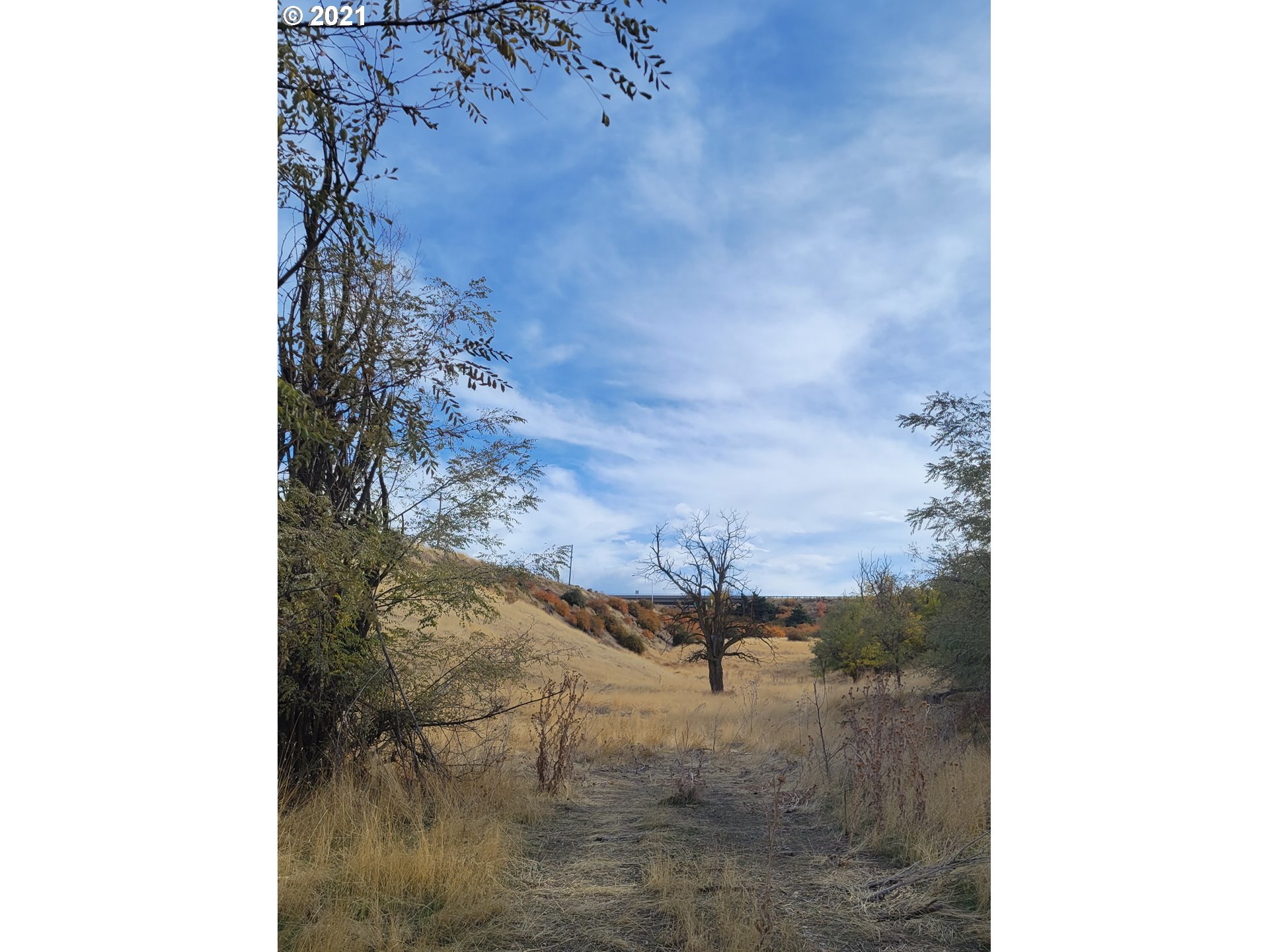 Southeast 3rd Street Pendleton, OR 97801 - Photo 1 of 1 a view of mountains in the background