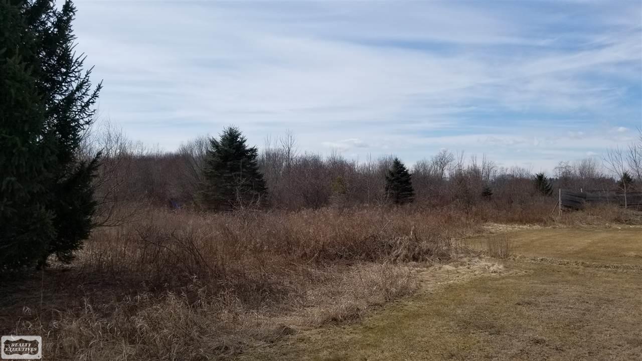 60875 Bates Road New Haven, MI 48048 - Photo 3 of 4