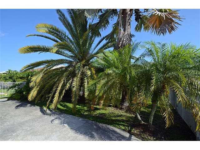 4417 Magnolia Ridge Drive Weston, FL 33331 - Photo 2 of 24 a view of a palm trees