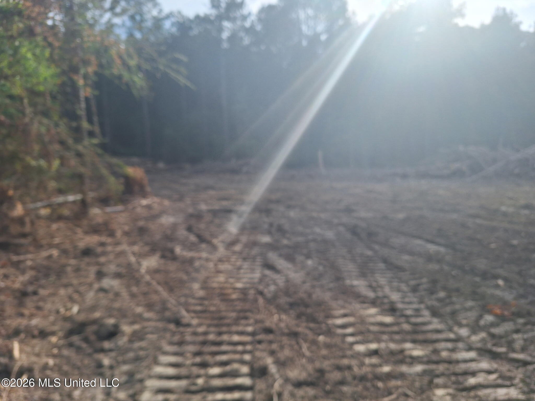 709 Old Pinola Braxton Road Braxton, MS 39044 - Photo 18 of 19 8503256210575613887