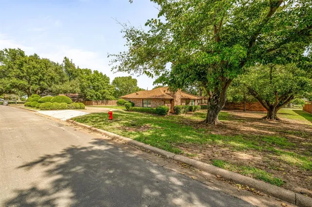 a view of backyard with tree