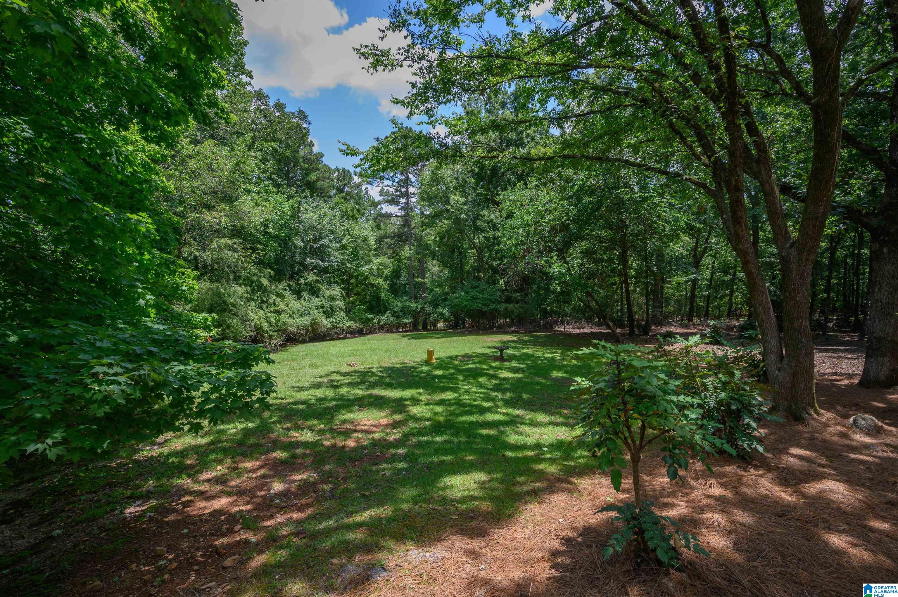 371 Highgate Hill Pelham, AL 35124 - Photo 48 of 48