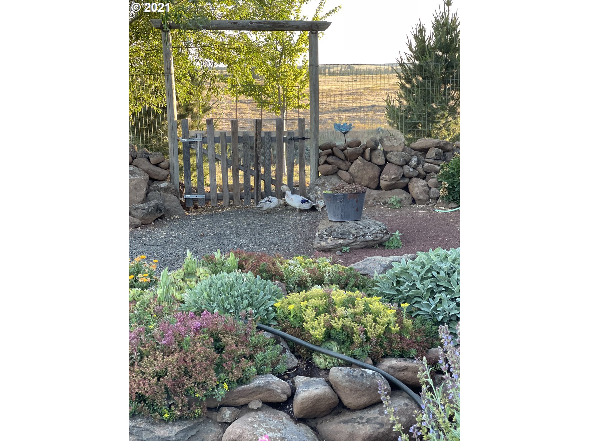 156 Old Mountain Road Goldendale, WA 98620 - Photo 7 of 32 Gallery Image 7