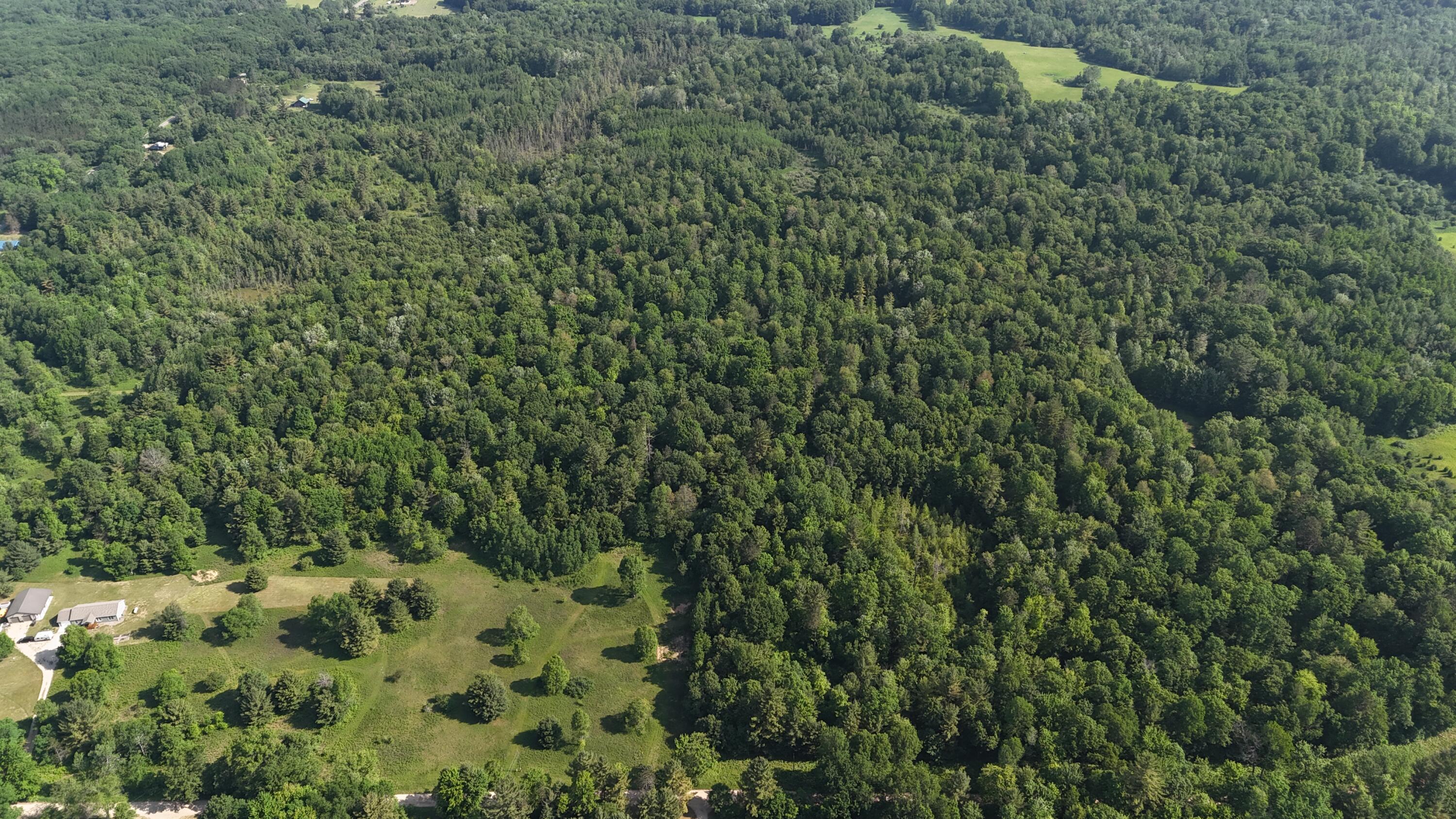 Dickson Road Brethren, MI 49619 - Photo 22 of 27 dji_fly_20250617_100810_0573_17501698471