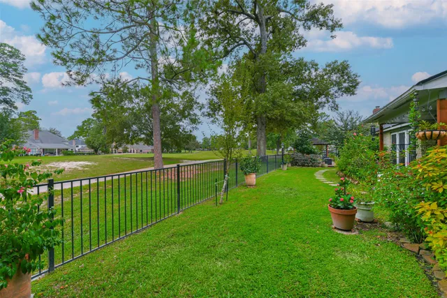 a view of a garden with large trees