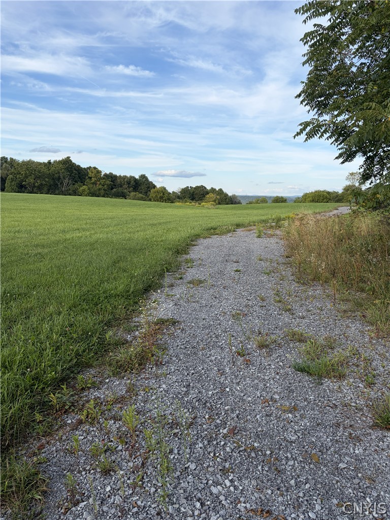 3936 E Road West Turin, NY 13473 - Photo 5 of 7 Driveway is in
