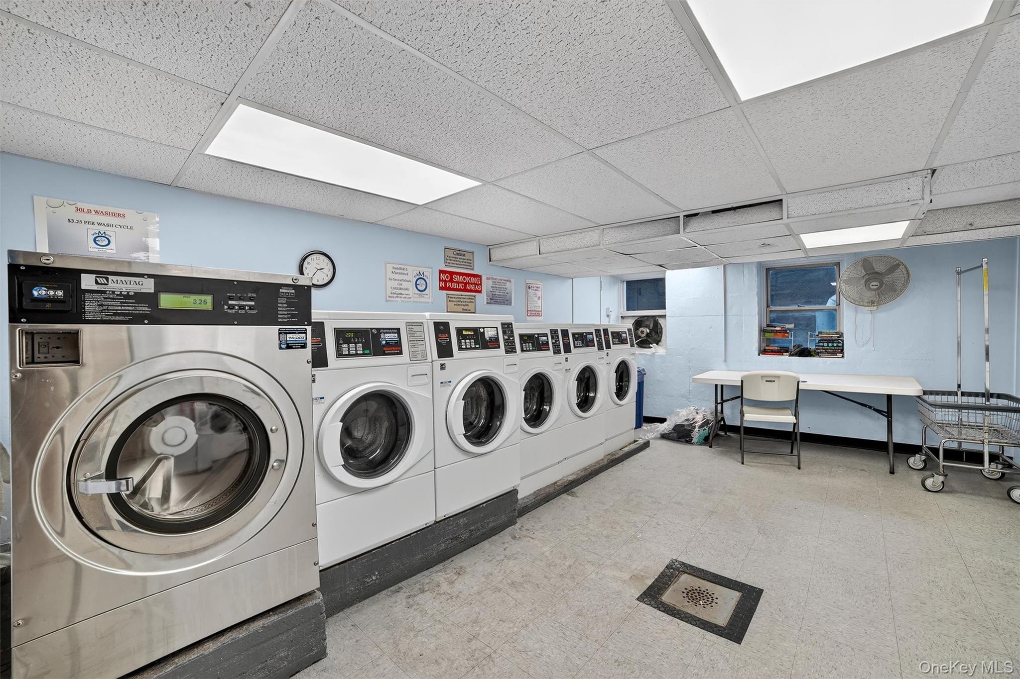60 Locust Avenue, Unit 214A New Rochelle, NY 10801 - Photo 19 of 20 Shared laundry featuring independent washer and dryer and a drop ceiling