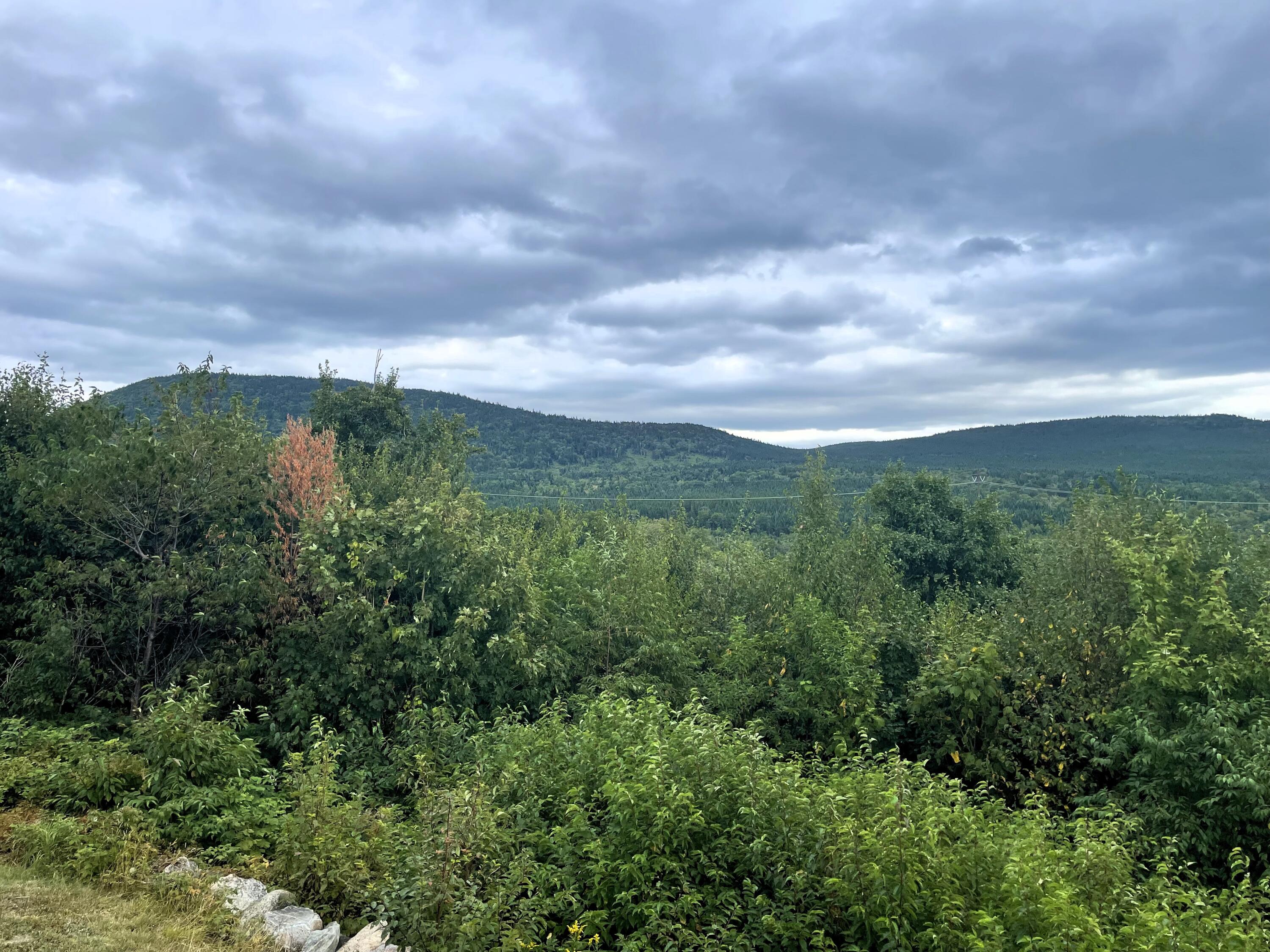 1261 Dirigo Road West Forks, ME 04985 - Photo 11 of 30 Thurber View