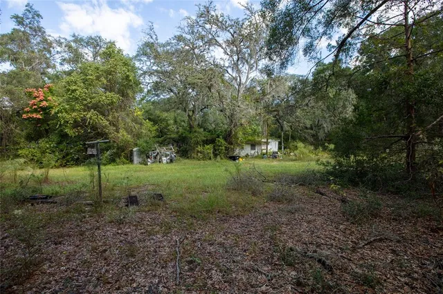 a view of outdoor space with green field and trees