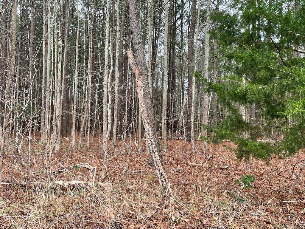 5-lots 5-lots Stone House Road Onley, VA 23418 - Photo 5 of 11