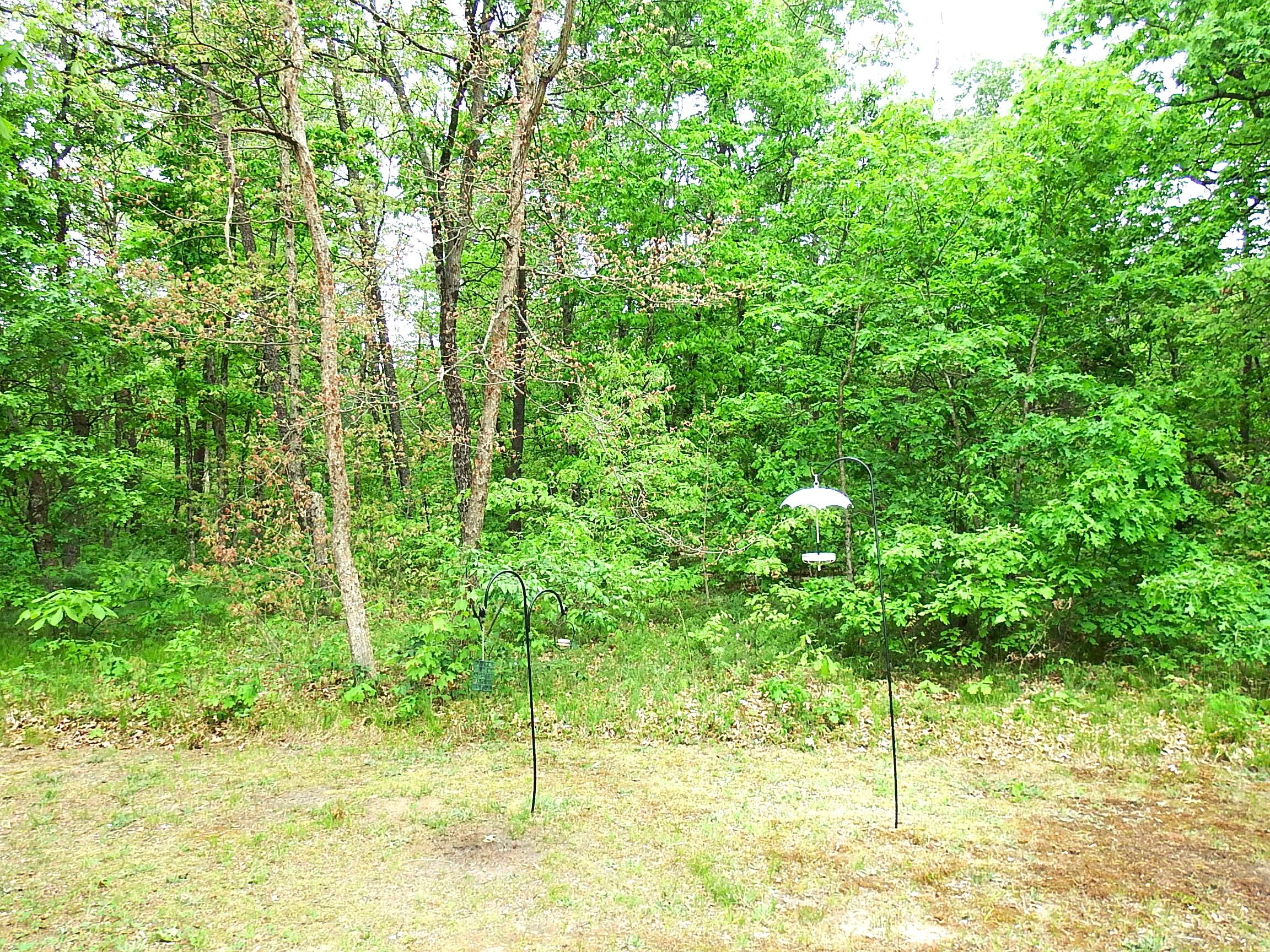 3461 South James Road Baldwin, MI 49304 - Photo 18 of 21 DSCF7641