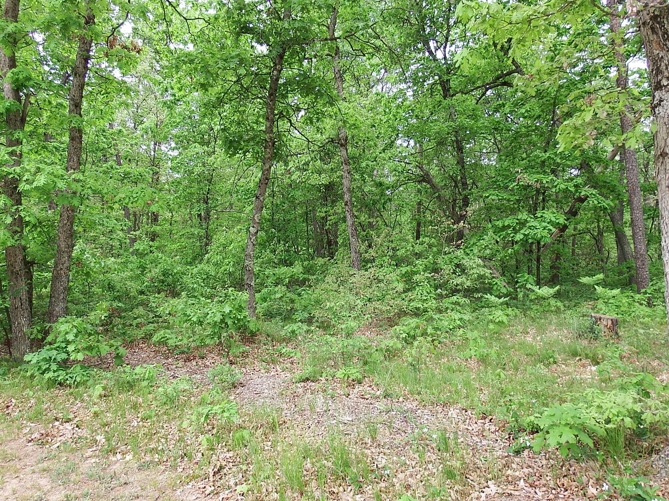 3461 South James Road Baldwin, MI 49304 - Photo 19 of 21 DSCF7642