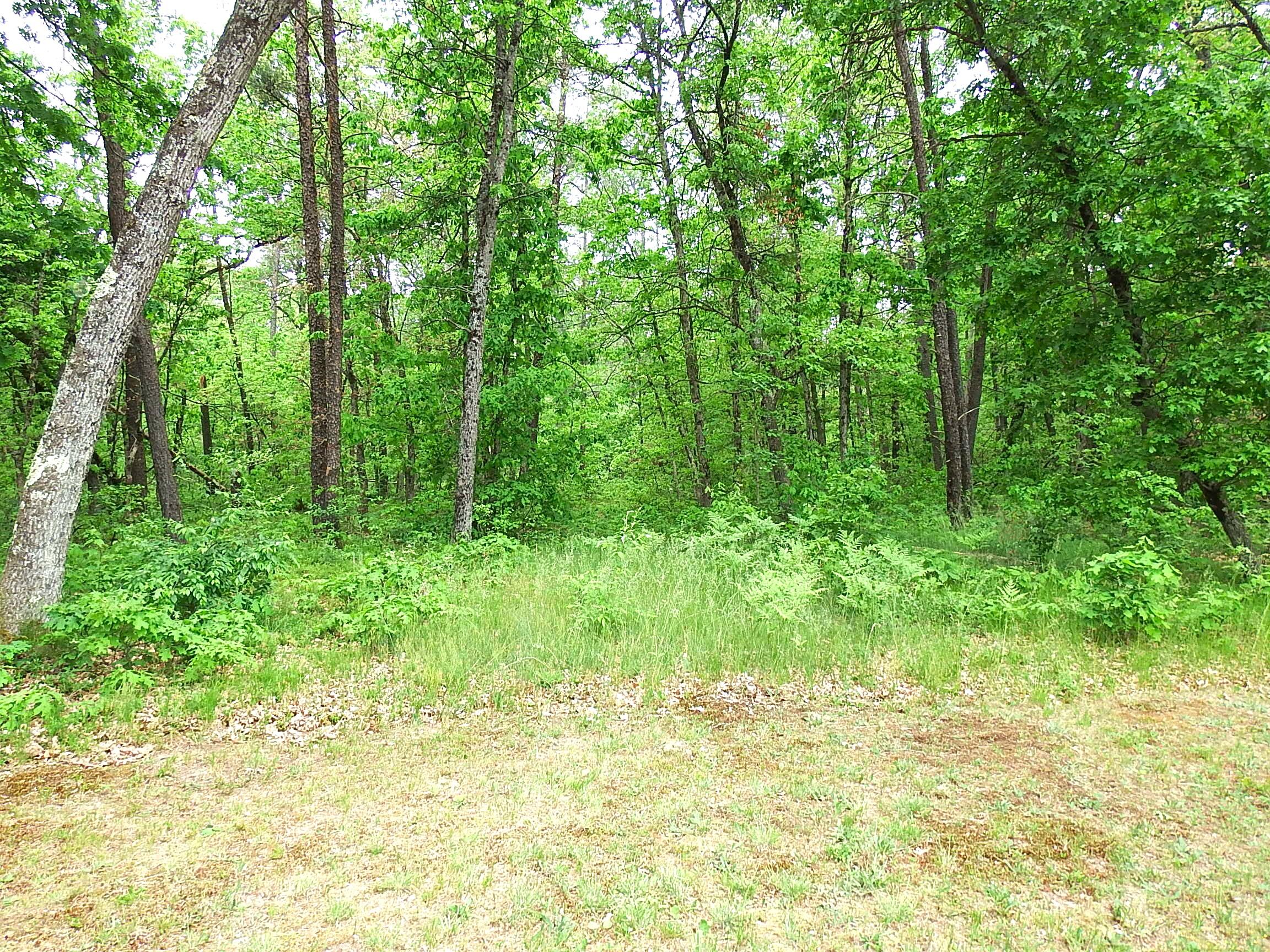 3461 South James Road Baldwin, MI 49304 - Photo 20 of 21 DSCF7645