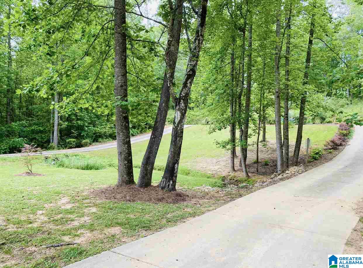 2720 Mt View Road Hayden, AL 35079 - Photo 18 of 28