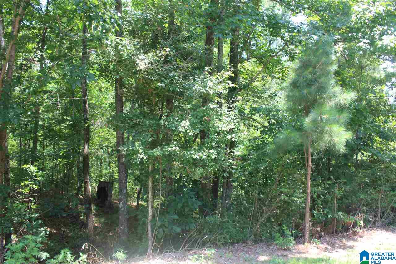1334 Cherokee Road, Unit 7 Pell City, AL 35128 - Photo 6 of 6