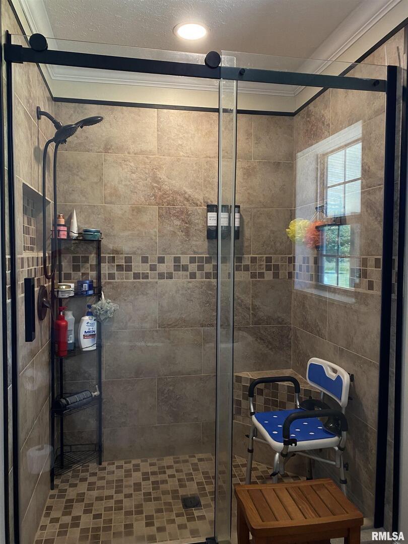 1640 Pleasant Ridge Road Vienna, IL 62995 - Photo 20 of 77 a bathroom with a shower