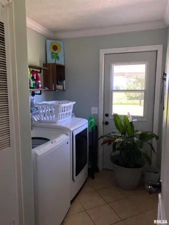 a view of a field with a tree