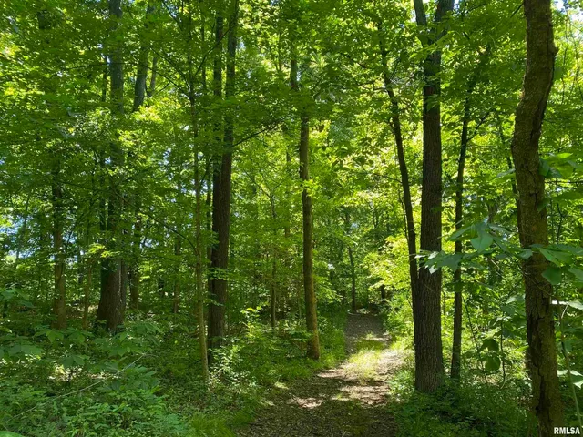 $399,900 | 1640 Pleasant Ridge Road, Vienna, IL 62995