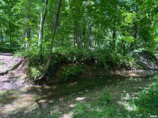 $399,900 | 1640 Pleasant Ridge Road, Vienna, IL 62995