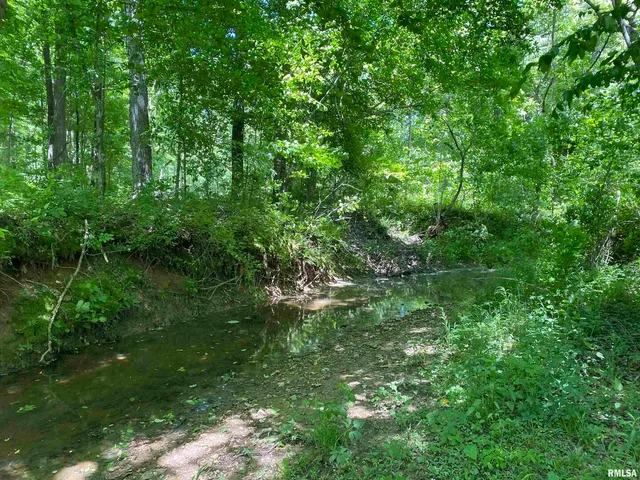 $399,900 | 1640 Pleasant Ridge Road, Vienna, IL 62995