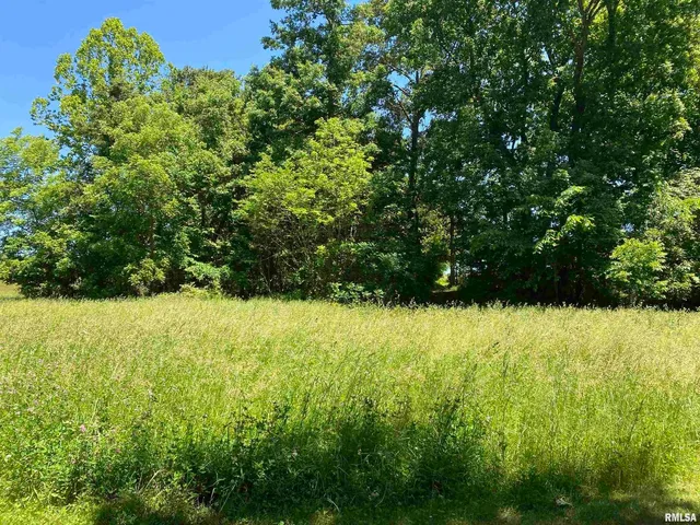 $399,900 | 1640 Pleasant Ridge Road, Vienna, IL 62995