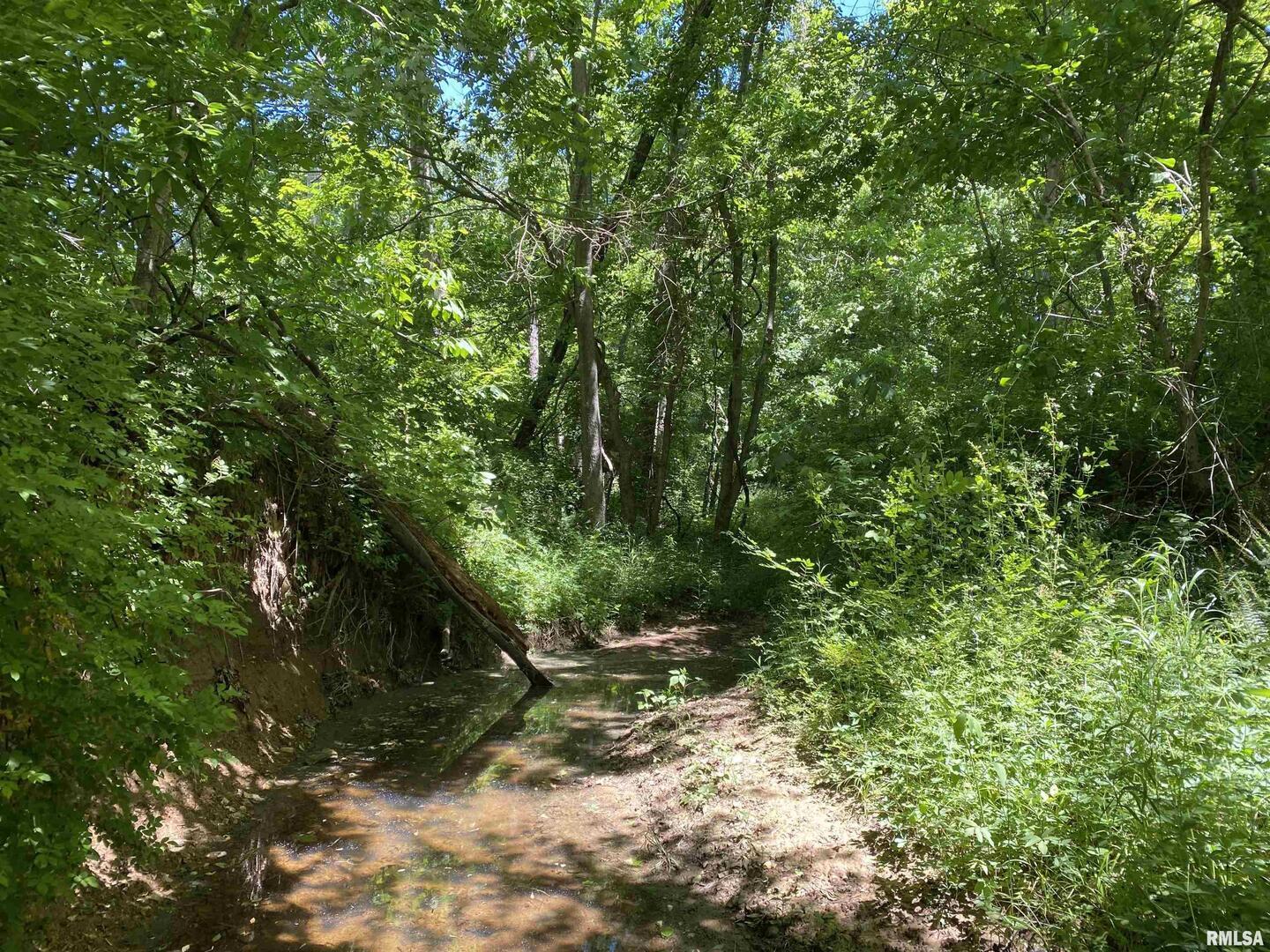 1640 Pleasant Ridge Road Vienna, IL 62995 - Photo 37 of 77 a view of a forest with trees in the background