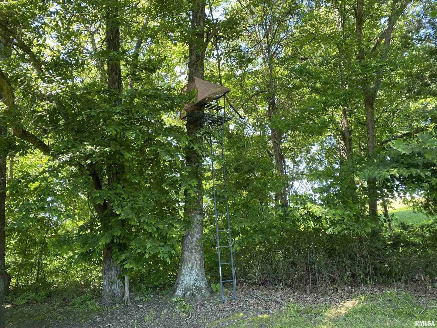 1640 Pleasant Ridge Road Vienna, IL 62995 - Photo 39 of 82