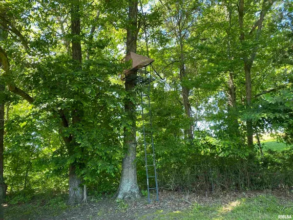 a backyard of a house with table and chairs and potted plants