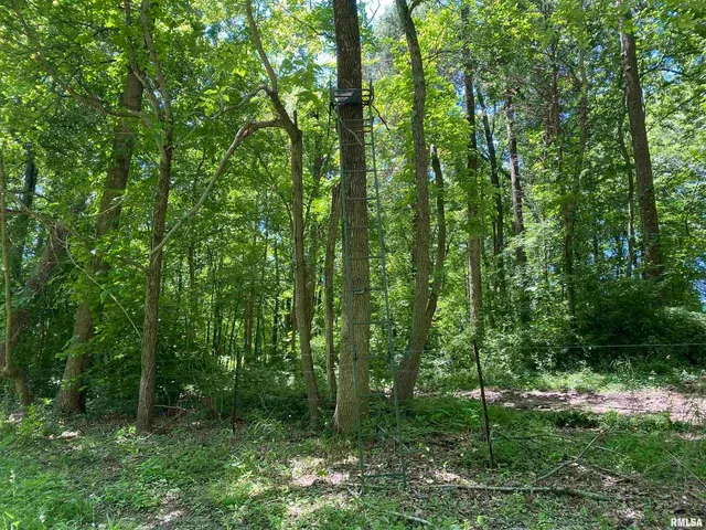 $399,900 | 1640 Pleasant Ridge Road, Vienna, IL 62995