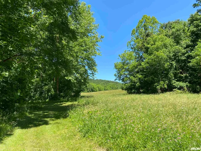 $399,900 | 1640 Pleasant Ridge Road, Vienna, IL 62995