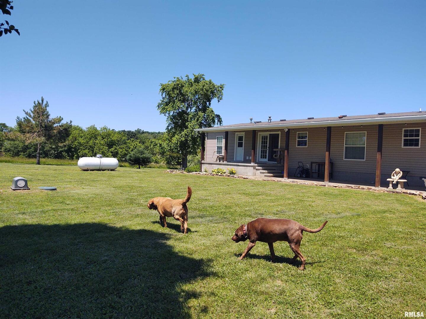 1640 Pleasant Ridge Road Vienna, IL 62995 - Photo 55 of 77 a view of a house with pool and a yard