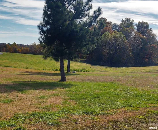 $345,000 | 1640 Pleasant Ridge Road, Vienna, IL 62995