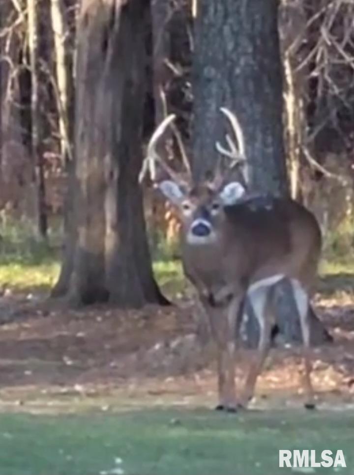 1640 Pleasant Ridge Road Vienna, IL 62995 - Photo 73 of 77 a view of a wooden door in front of house