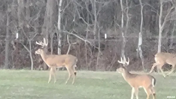 $345,000 | 1640 Pleasant Ridge Road, Vienna, IL 62995