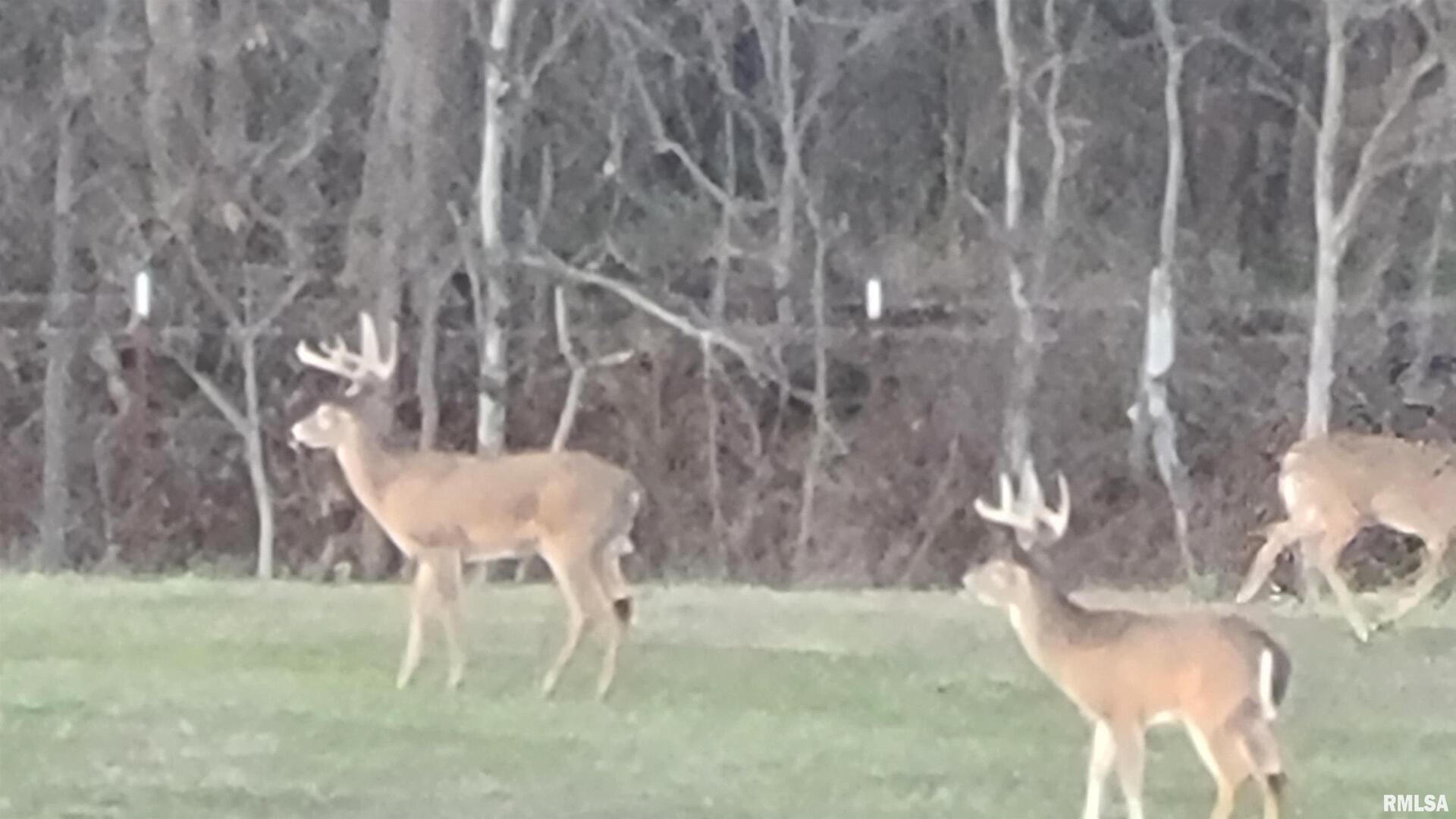 1640 Pleasant Ridge Road Vienna, IL 62995 - Photo 75 of 77 a view of a chairs and table in the outdoor