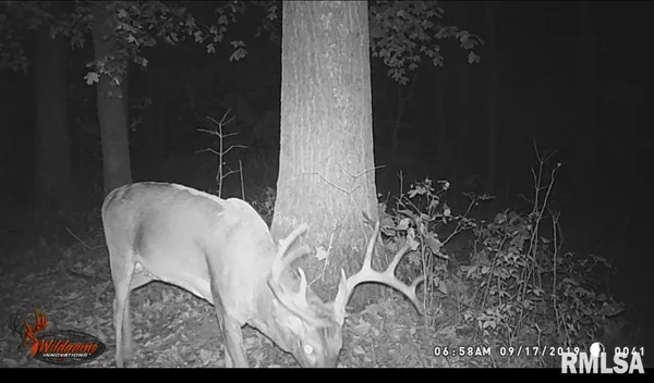 $345,000 | 1640 Pleasant Ridge Road, Vienna, IL 62995