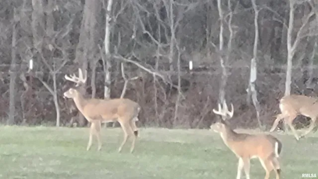 $399,900 | 1640 Pleasant Ridge Road, Vienna, IL 62995