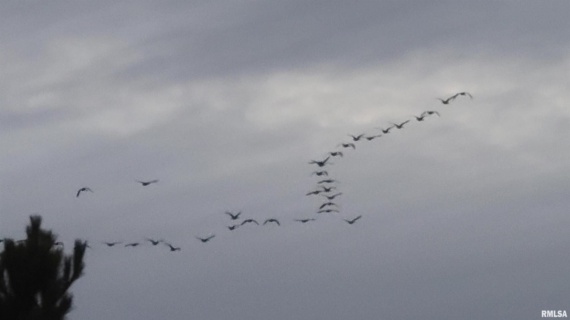 1640 Pleasant Ridge Road Vienna, IL 62995 - Photo 82 of 82