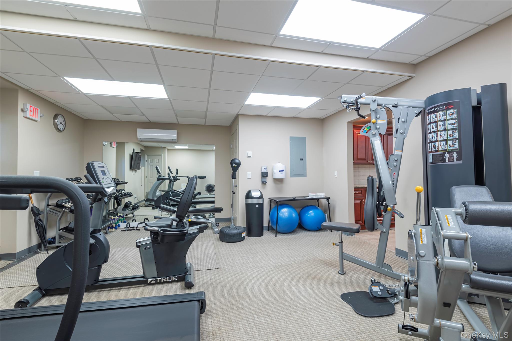 25 Chapel Place, Unit 3N Great Neck, NY 11021 - Photo 18 of 23 a view of a room with gym equipment