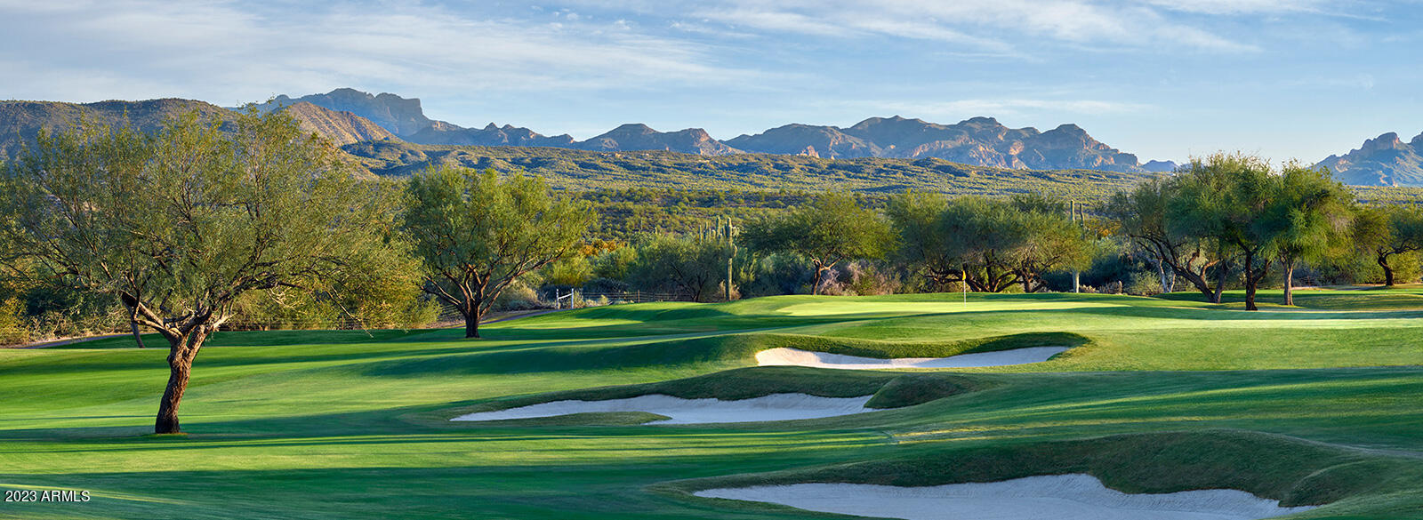 26449 North Arroyo Way Rio Verde, AZ 85263 - Photo 30 of 37 5th hole White Wing