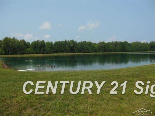 9 Round Lake Road Hemlock, MI 48626 - Photo 3 of 4